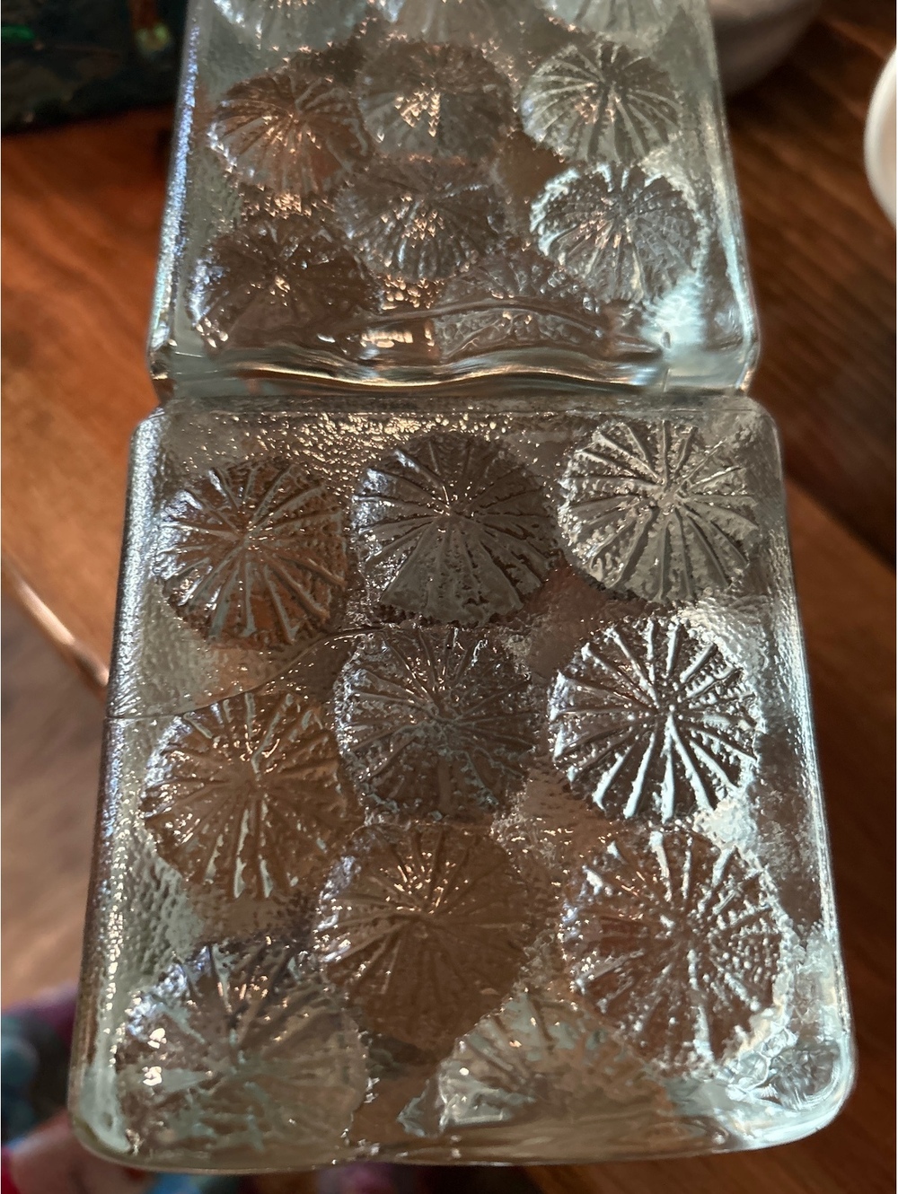 Pair of Blenko Clear Glass Sand Dollar Cube Bookends Joel Myers MCM